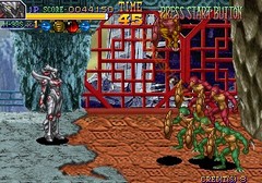 une photo d'Ã©cran de Gaia Crusaders sur Arcade